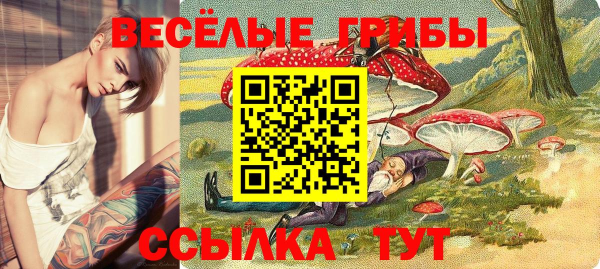 Псилоцибиновые грибы Cubensis Владикавказ