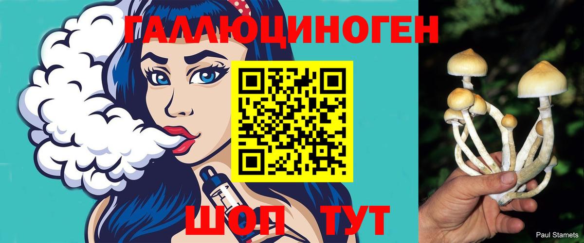 Псилоцибиновые грибы ЛСД  Псилоцибиновые грибы мухоморы  Владикавказ  Вход с VPN 